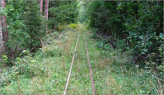 Podlaskie - Czarna Bialostocka - Knyszyn Forest - rt. Studzianki via Ozynnik - KFNGR xing - NW 16-020 - Zdjęcia