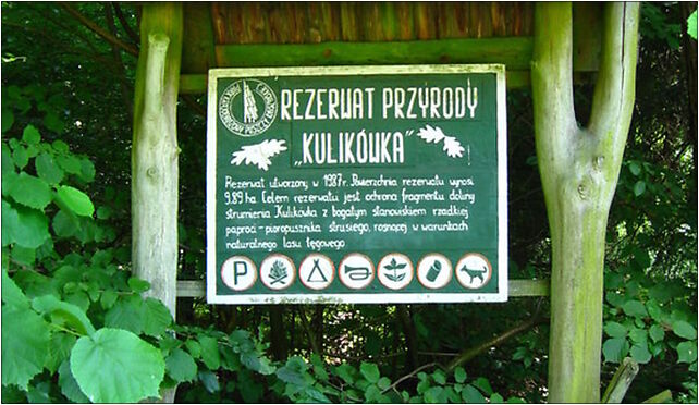 Podlaskie - Dobrzyniewo Duze - rezerwat Kulikówka - tablica inf 19-120 - Zdjęcia