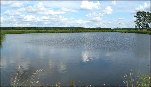 Podlaskie - Grodek - Walily-Dwor - pond, Waliły-Dwór, Waliły-Dwór 16-040 - Zdjęcia