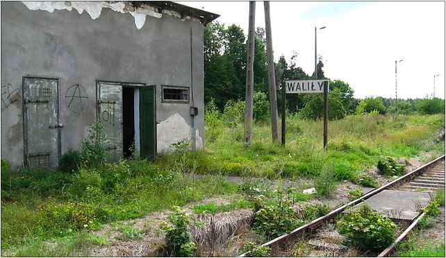 Podlaskie - Grodek - Walily-Stacja - Walily train station - platform 16-040 - Zdjęcia