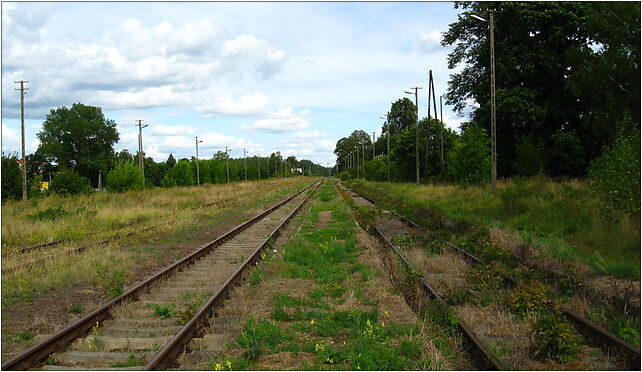 Podlaskie - Grodek - Walily-Stacja - Walily train station - tracks 16-040 - Zdjęcia