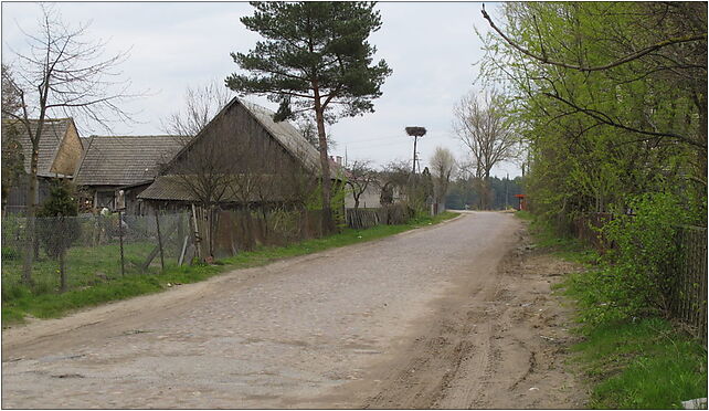 Podlaskie - Juchnowiec Kościelny - Szerenosy - Droga - Centrum - v-E 16-061 - Zdjęcia