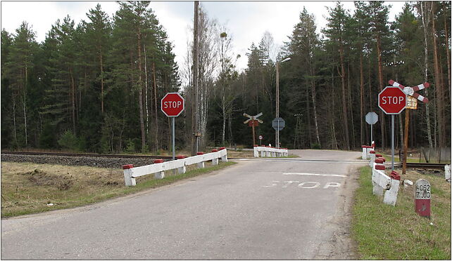 Podlaskie - Michałowo - DW686xLK37 @Żednia, Sokole, Sokole 16-050 - Zdjęcia