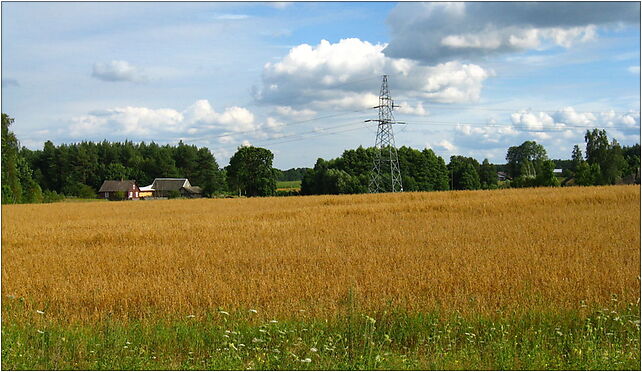 Podlaskie - Michalowo - Kammienny Brod - NE, Mościska, Mościska 16-050 - Zdjęcia