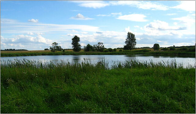 Podlaskie - Michalowo - Topolany - pond, Topolany, Topolany 16-050 - Zdjęcia