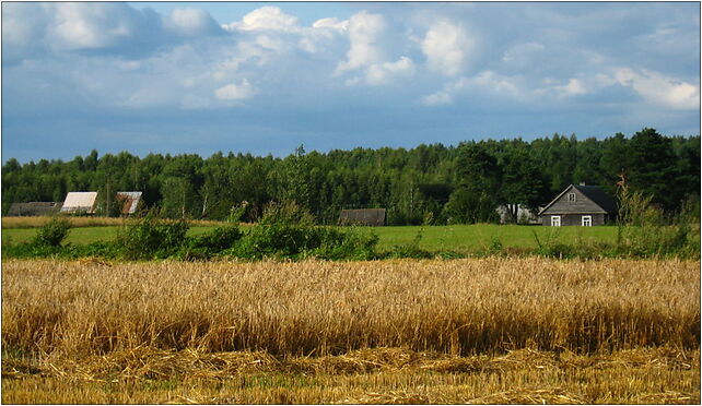 Podlaskie - Michalowo - Tylwica-Kolonia - SSW, Tylwica, Tylwica 16-050 - Zdjęcia