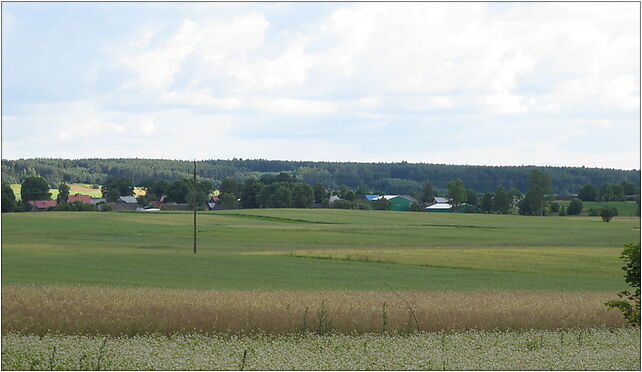 Podlaskie - Sokółka - Stara Kamionka - DW674 - pano - v-SW 16-100 - Zdjęcia