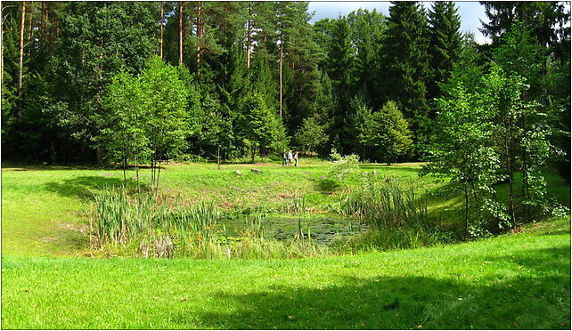 Podlaskie - Suprasl - Kopna Gora - Arboretum - pond, Sokołda 16-030 - Zdjęcia