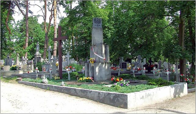 POL Brwinów cemetery2, Powstańców Warszawy, Milęcin 05-840 - Zdjęcia