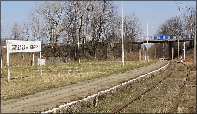 POL Goleszów Górny train stop, Kolejowa, Goleszów Górny 43-440 - Zdjęcia