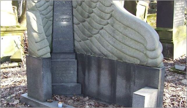 POL JCP grob rozalia zweigerhaft, Anielewicza Mordechaja, Warszawa od 01-042 do 01-063 - Zdjęcia