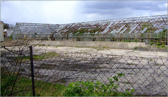 POL Przeuszyn, abandoned glasshouses, Spółdzielnia, Spółdzielnia 27-440 - Zdjęcia