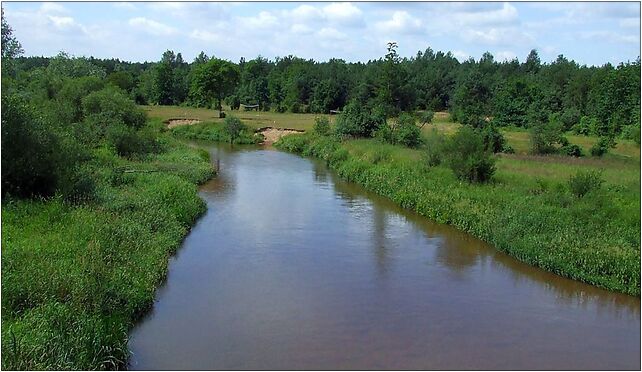 POL Radomka river, Warszawska, Ryczywół 26-900 - Zdjęcia
