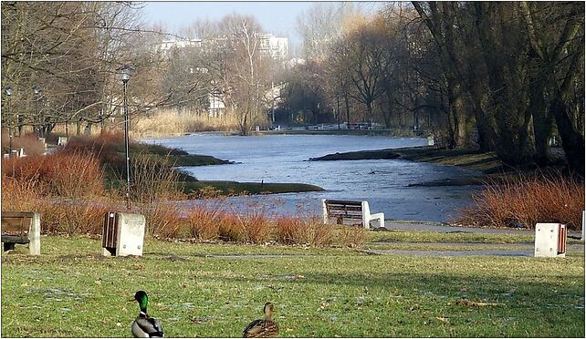 POL Warsaw Park Arkadia, Piaseczyńska, Warszawa 00-765 - Zdjęcia