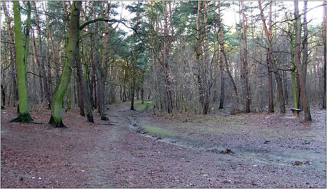 POL Warsaw Park Lindego, Lindego Samuela Bogumiła, Warszawa od 01-952 do 01-995 - Zdjęcia