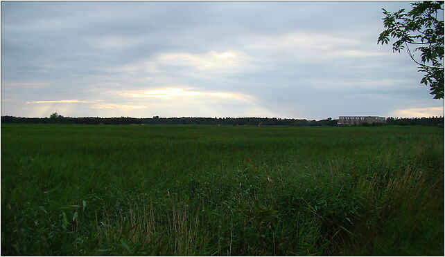 POL kołobrzeg 20100729 4, Plażowa, Kołobrzeg 78-100 - Zdjęcia