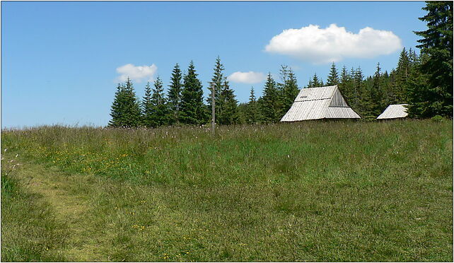 Polana Kopieniec, Hala Gąsienicowa, Zakopane 34-500 - Zdjęcia