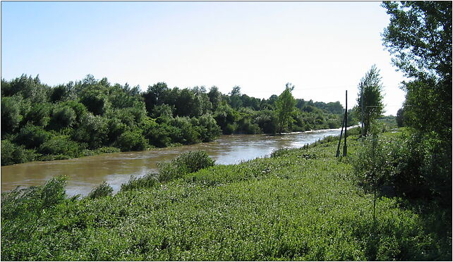 Poland-Mielec-river Wisłoka-2 , Rzeczna, Mielec 39-300 - Zdjęcia