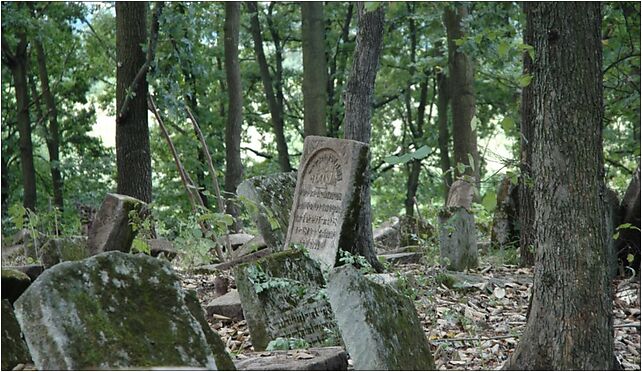 Poland Szczebrzeszyn - jewish cementary, Błonie, Alwa 22-460 - Zdjęcia