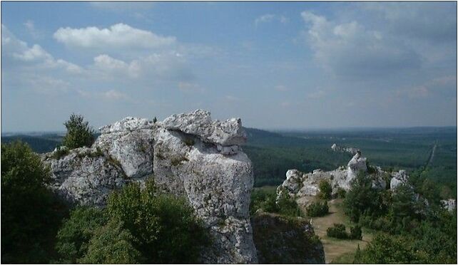 Poland Zborów reserve, Kajetanówka, Kajetanówka 42-425 - Zdjęcia