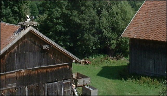 Poland Zywkowo - stork's nests, Żywkowo, Żywkowo 11-220 - Zdjęcia