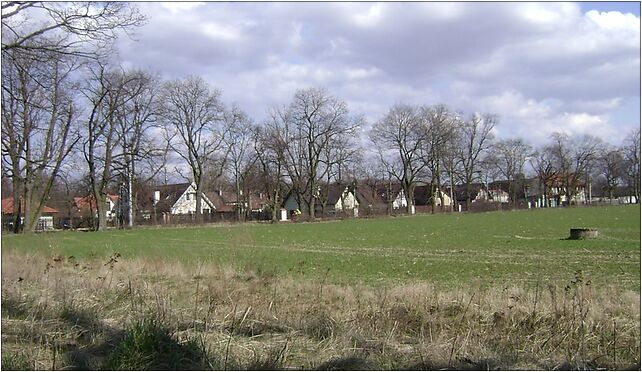 Poland. Gmina Konstancin-Jeziorna. Obory 001, Obory 10, Obory 05-520 - Zdjęcia