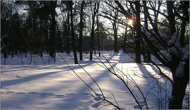 Poland. Konstancin-Jeziorna. Park 027, Matejki Jana 2 05-510 - Zdjęcia