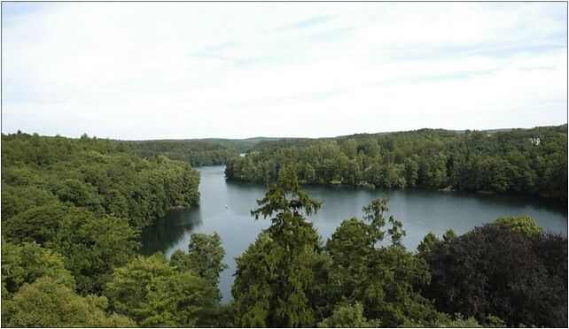 Poland - Trzesniowskie Lake, Zamkowa, Bracikowo 66-220 - Zdjęcia