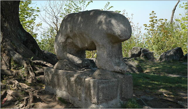 Poland mount Sleza - ancient cult figure, Kwiatowa, Sulistrowiczki 55-050 - Zdjęcia