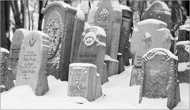 Polickie lapidarium, Kościuszki Tadeusza114 3, Police 72-010 - Zdjęcia
