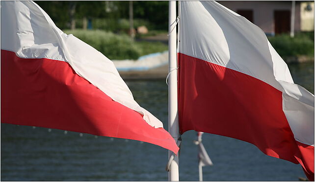 Polish Flags, Wały Chrobrego, Szczecin 70-500 - Zdjęcia