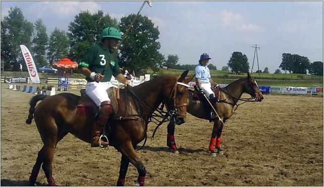 Polo 01, Gałkowo, Gałkowo 12-220 - Zdjęcia