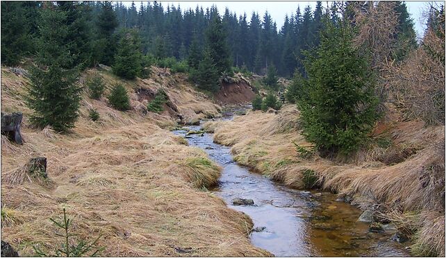 Potok Kamionek, Jakuszyce-Harrachov, Szklarska Poręba 58-580 - Zdjęcia