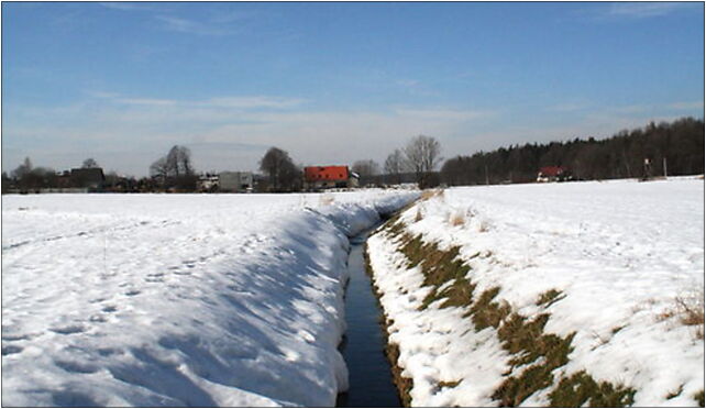 Potok Makolowiec 23.02.10, Bażancia, Tychy 43-100 - Zdjęcia