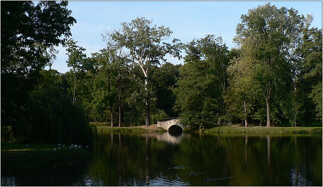 Pruszkow, Park Potulickich 1, Prusa Bolesława, Pruszków od 05-800 do 05-803 - Zdjęcia