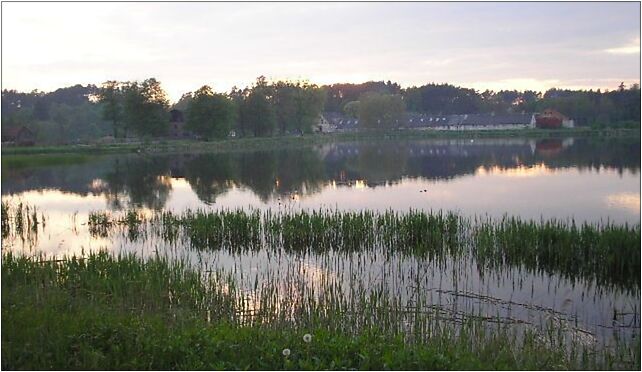 Przelewice (pow wałecki)-staw rybny, Przelewice - Zdjęcia