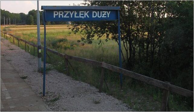 Przylek duzy 1, Przyłęk Duży, Przyłęk Duży 95-063 - Zdjęcia