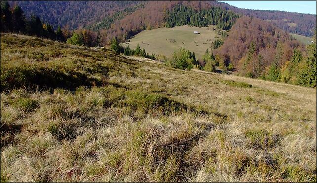 Przysłop w Gorcach a1, Skałka, os., Ochotnica Górna 34-453 - Zdjęcia