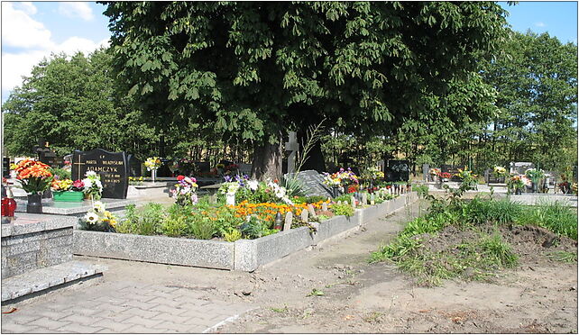 Przyszowice - tablica na zbiorowej mogile pomordowanych przez żołnierzy sowieckich 5 (Nemo5576) 44-178 - Zdjęcia