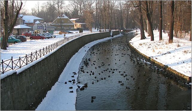 Pszczynka.rzeka, Wolska, Jedlina 43-220 - Zdjęcia