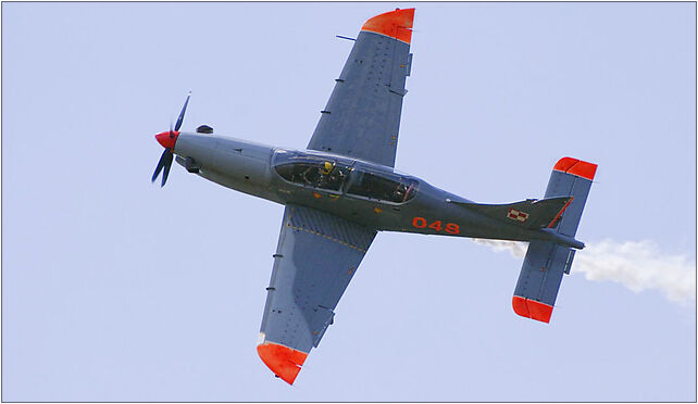 PZL-130 Orlik Goraszka 2008 3a, Lubelska, Wiązowna 05-462 - Zdjęcia