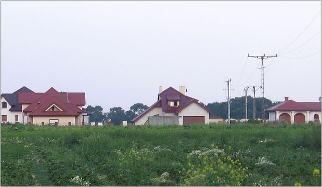 Radomierzyce, Radomierzyce - Zdjęcia