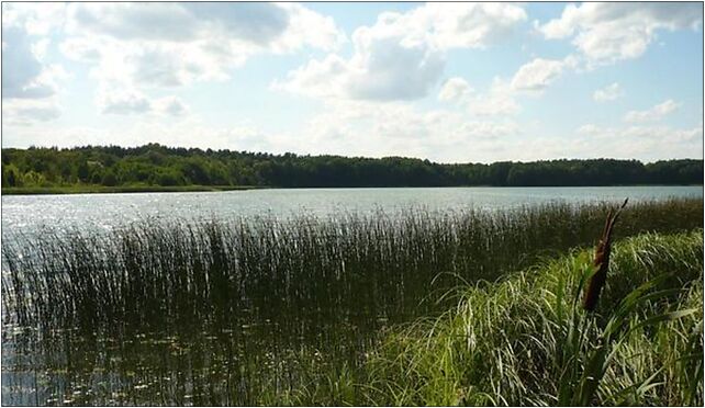 Radyszyn Lake, Józefowo, Józefowo 87-815 - Zdjęcia