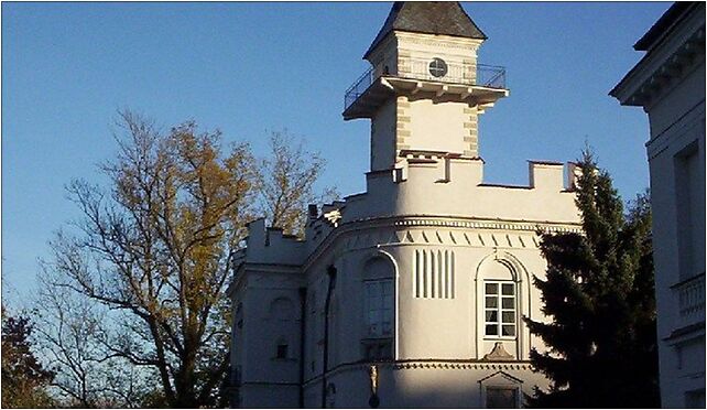 Radziejowice castle01, Sienkiewicza, Radziejowice 96-325 - Zdjęcia