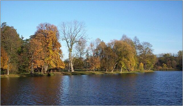 Radziejowice garden01, Zacisze, Radziejowice-Parcel 96-325 - Zdjęcia