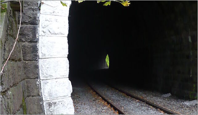 Railway tunnel by Lewin, Jeleniów, Jeleniów 57-343 - Zdjęcia