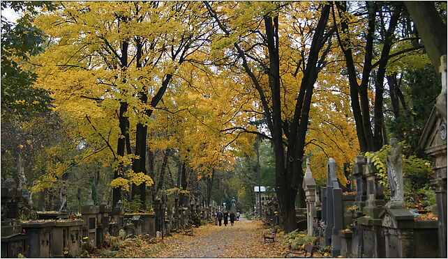 Rakowicki Cemetery, main alley,Krakow,Poland, Prandoty Jana, bp. 31-435 - Zdjęcia
