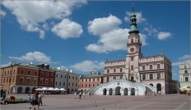 Ratusz Zamosc, Książęca 21, Warszawa 00-498 - Zdjęcia