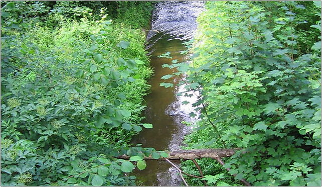 Rega from Bierzwnica bridge 2009-07, Bierzwnica, Bierzwnica 78-324 - Zdjęcia