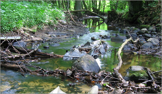 Rega near Rycerzewko rubbish 2009-07, Rycerzewko, Rycerzewko 78-324 - Zdjęcia